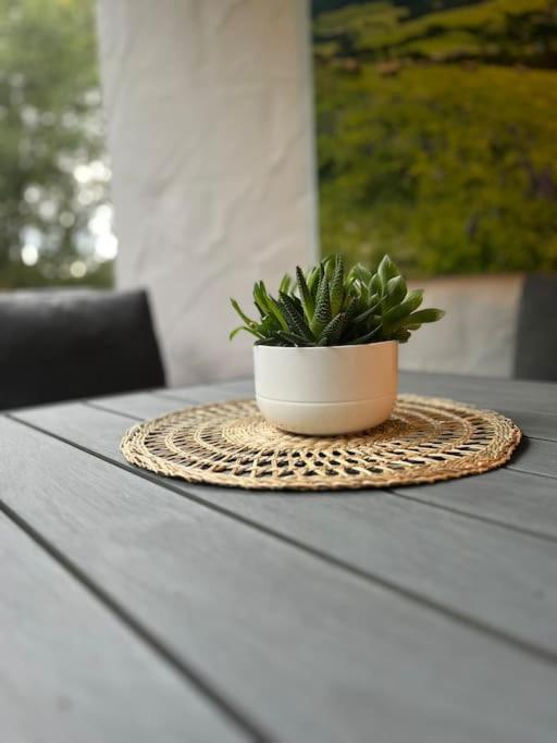 Ferienappartement Schwarzwaldeck In Todtnauberg Ngoại thất bức ảnh